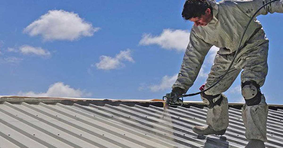 DDP Roofing Services