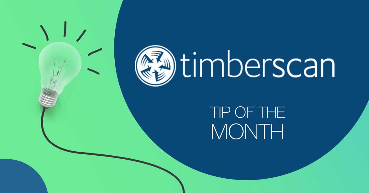 TimberScan Tip Of The Month